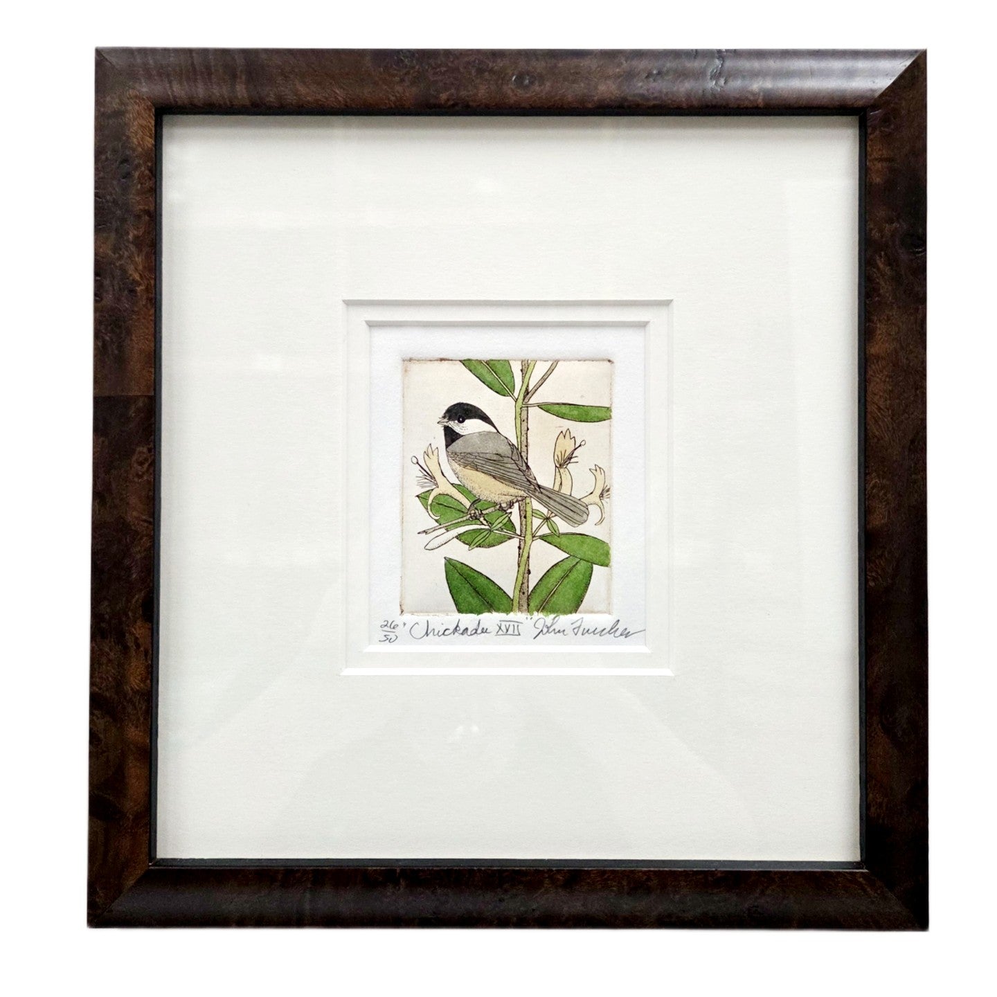 Chickadees XVII (f)