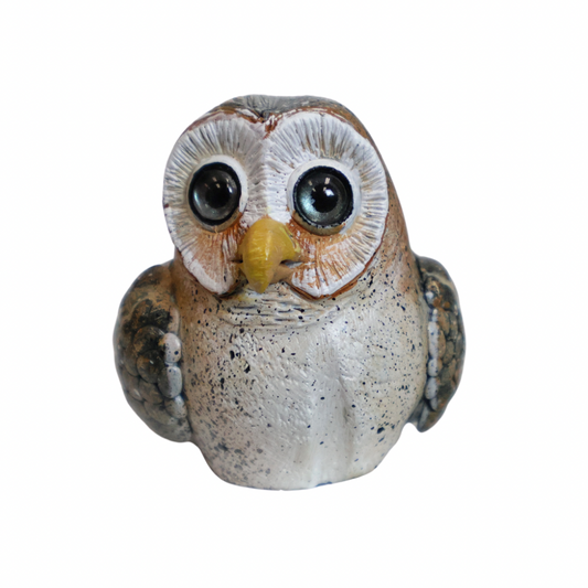 Barn Owl