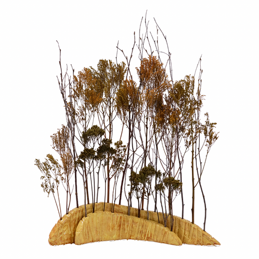 Autumn Ridgeline
