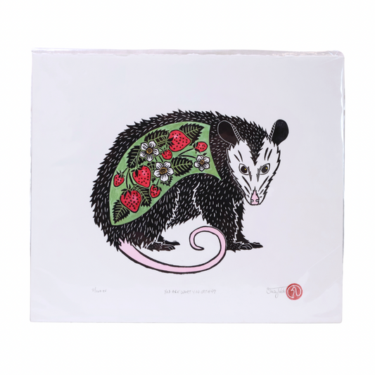 Virginia Opossum