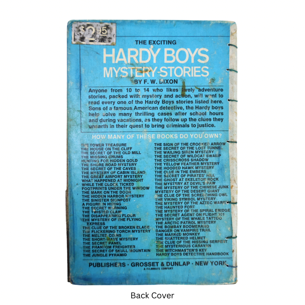 Hardy Boys Journal - Cabin Island