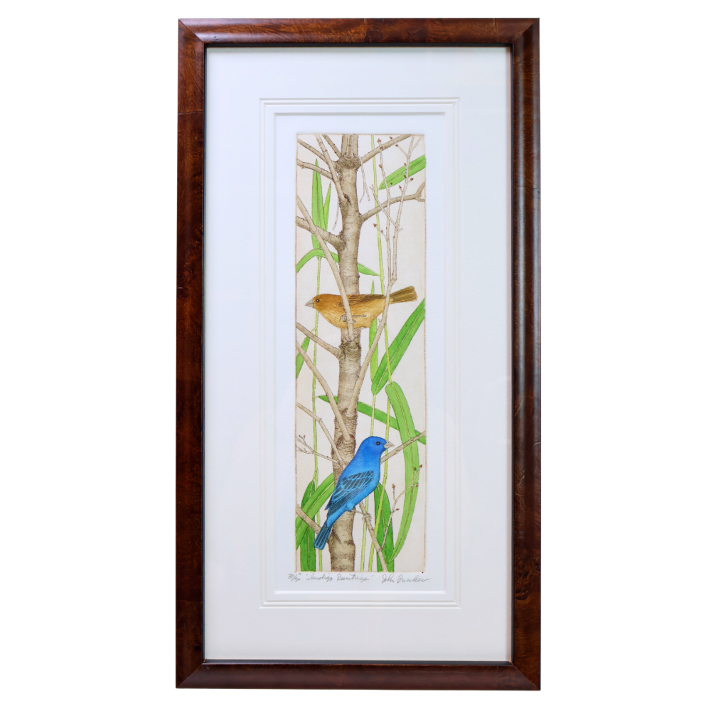 Indigo Buntings (35/50, 10x18)