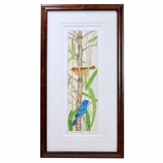 Indigo Buntings (35/50, 10x18)