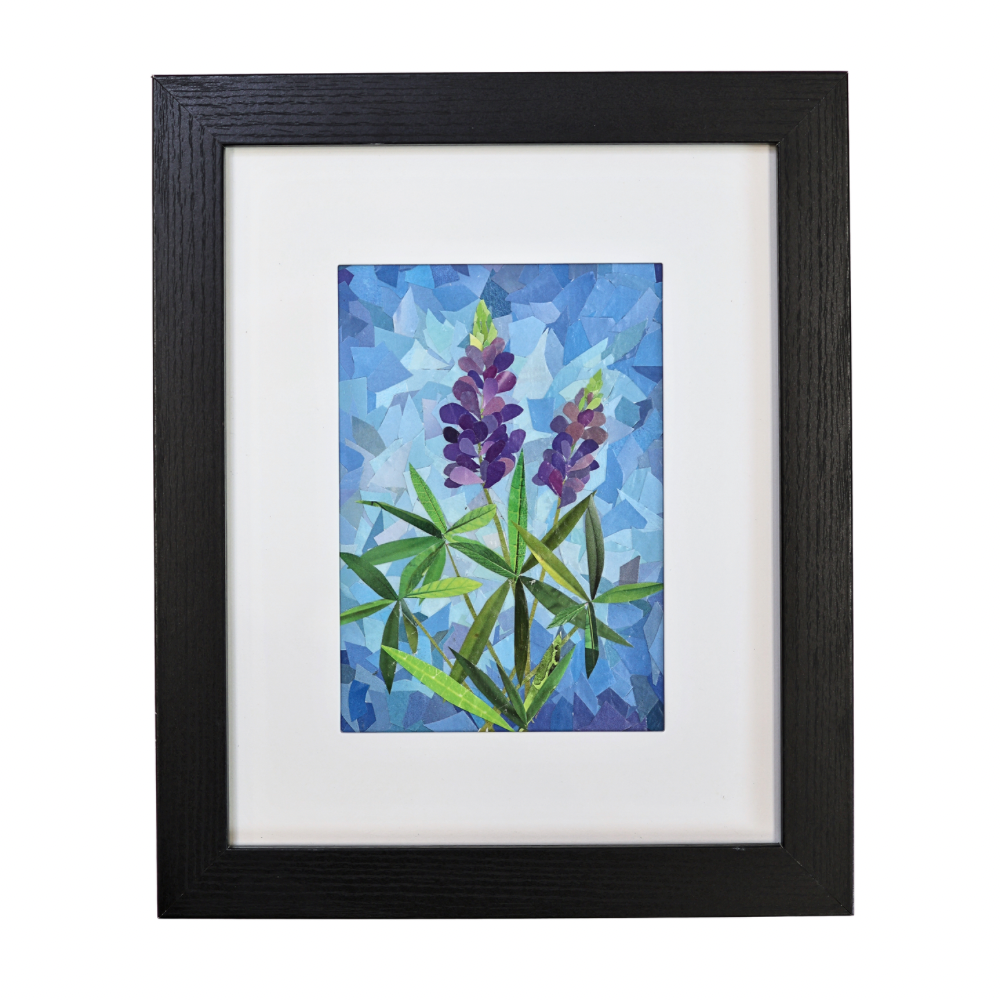 Lupine Framed