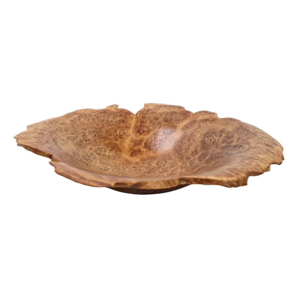"Snap & Rattle" Dish