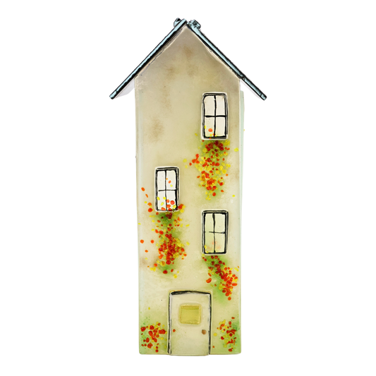 Tall House. 5 Windows