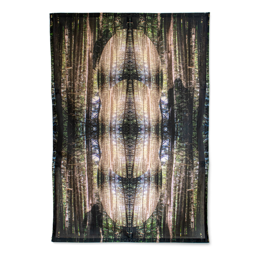 Sasquatch Uses a Portal