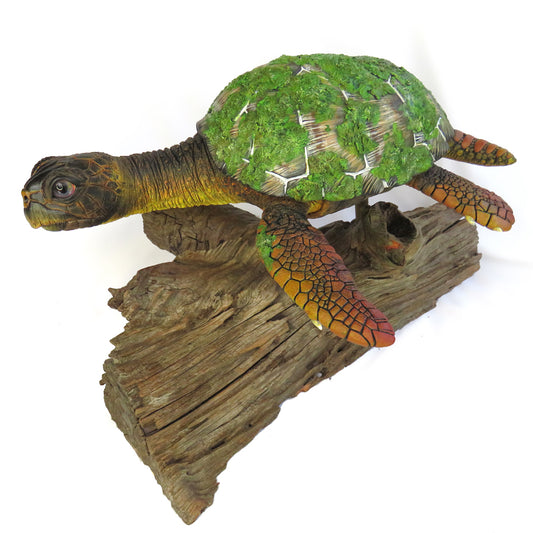 24 - Bruce the Loggerhead (turtle)