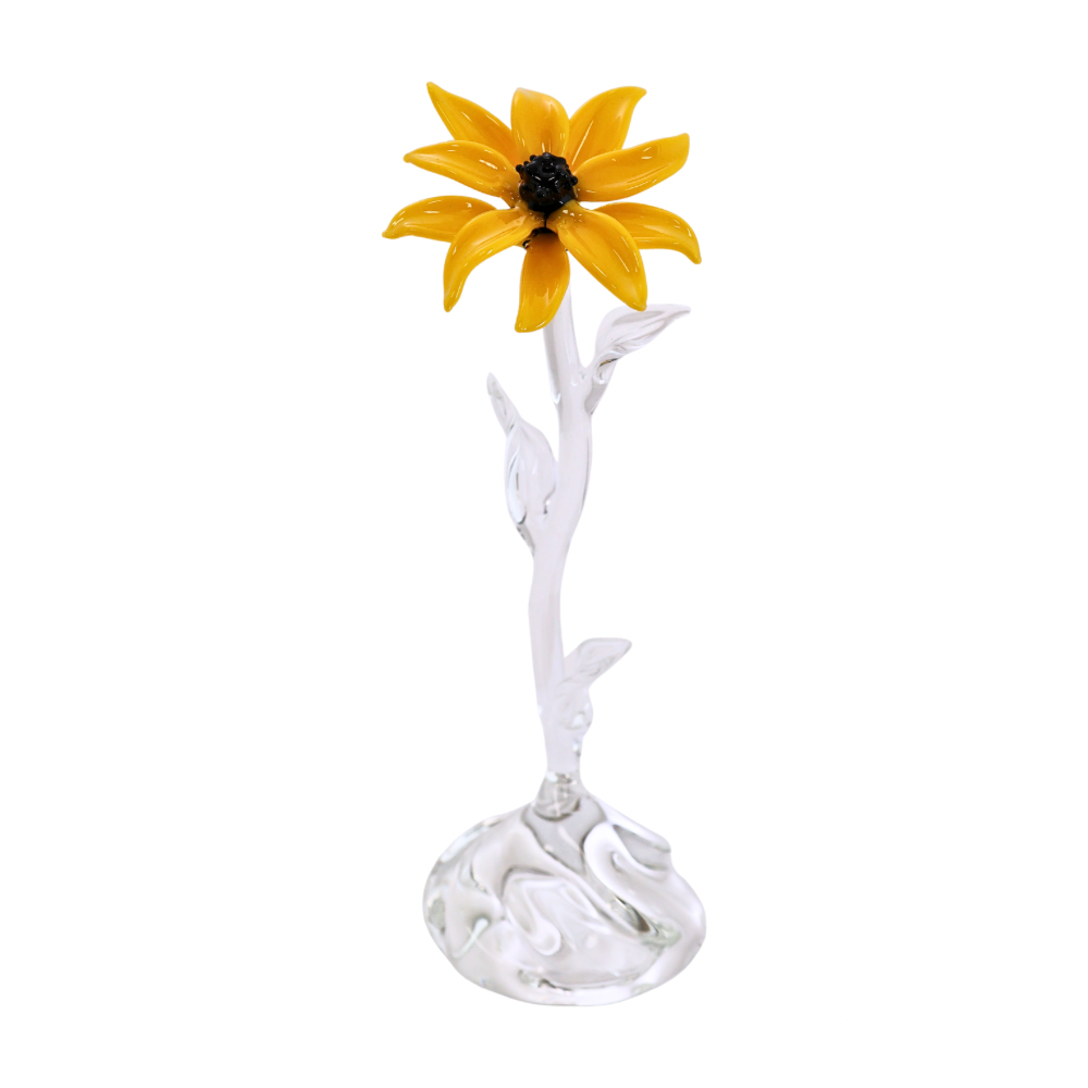 Single Blk Eyed Susan