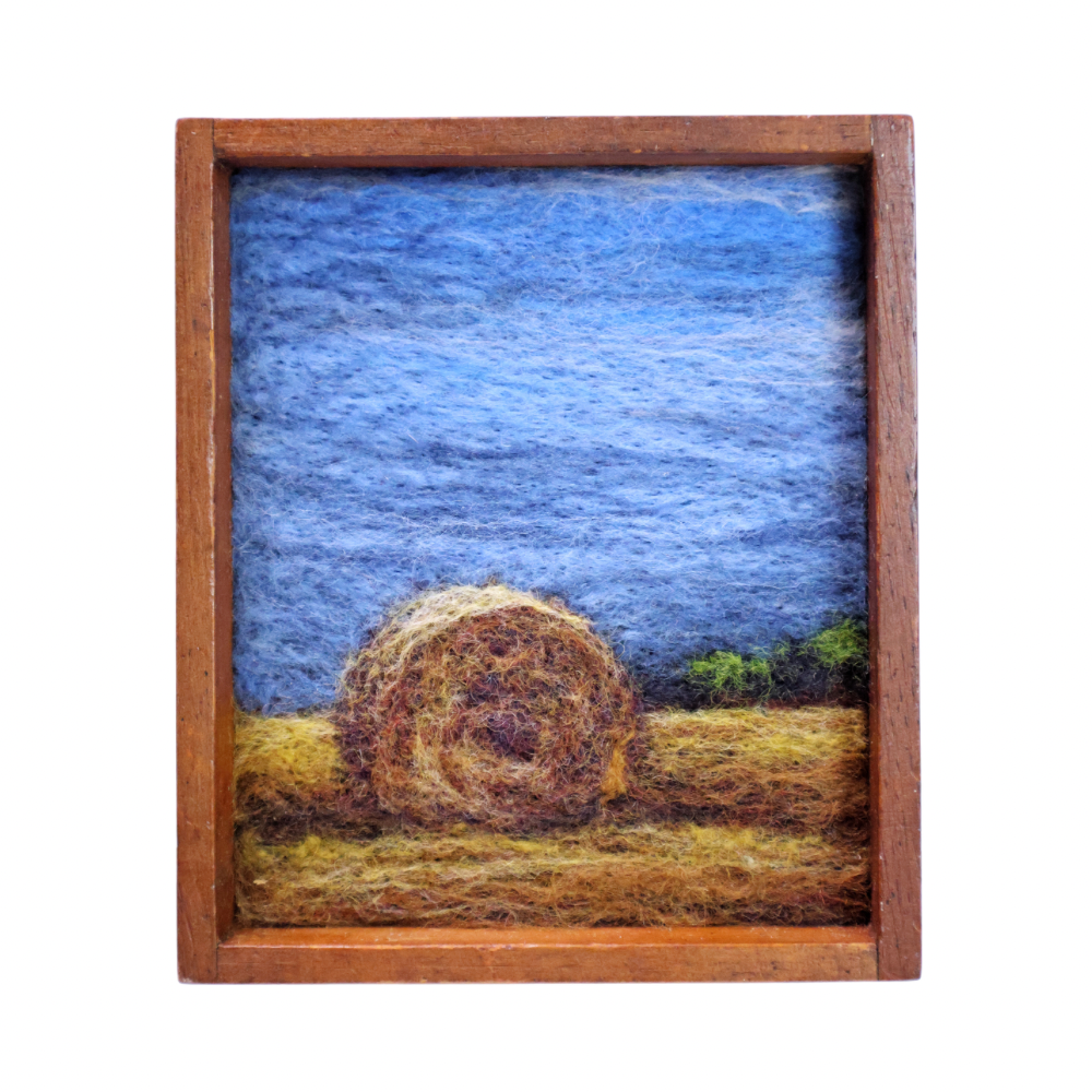 Haybale under Dark Skies