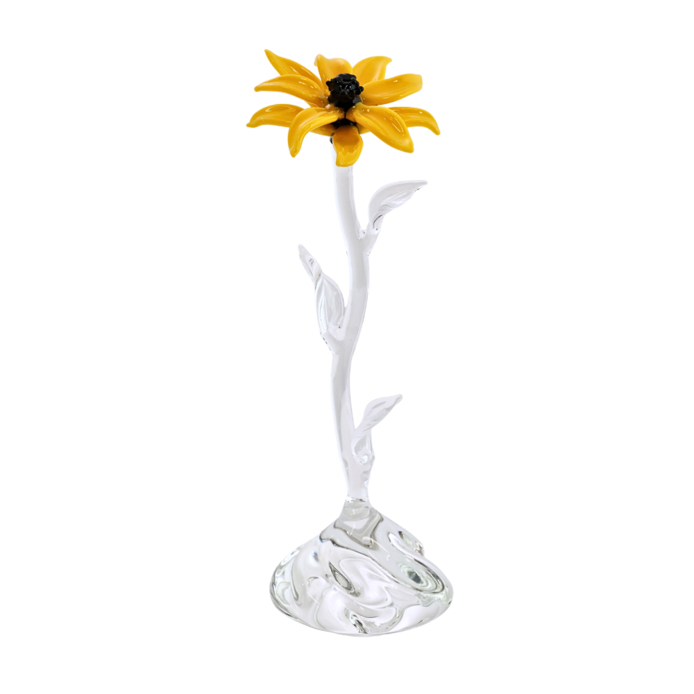 Single Blk Eyed Susan