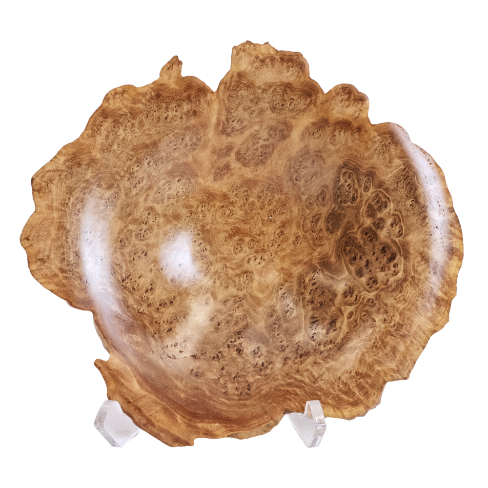 "Snap & Rattle" Dish