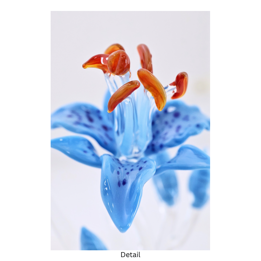 Blue Lily