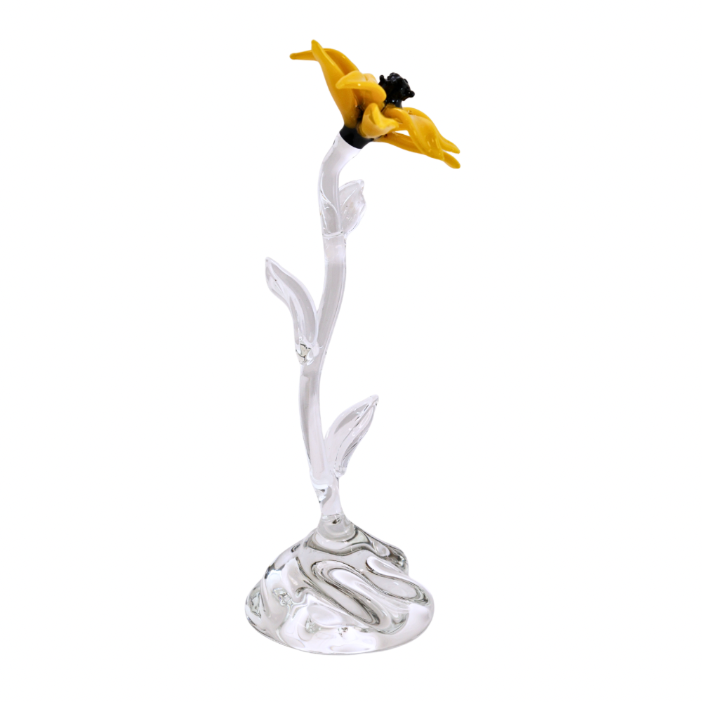 Single Blk Eyed Susan