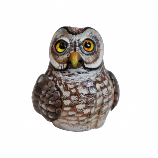 Burrowing Owl