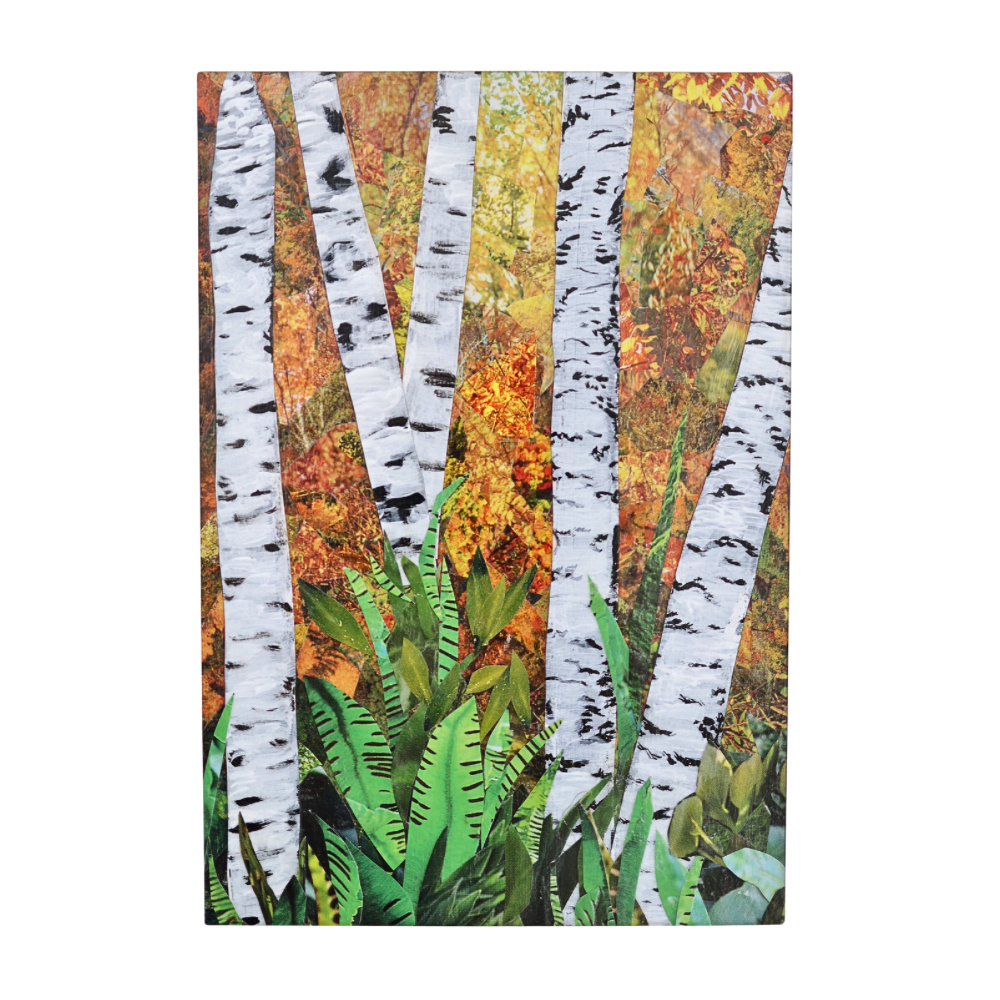 Birches 5x7 Framed