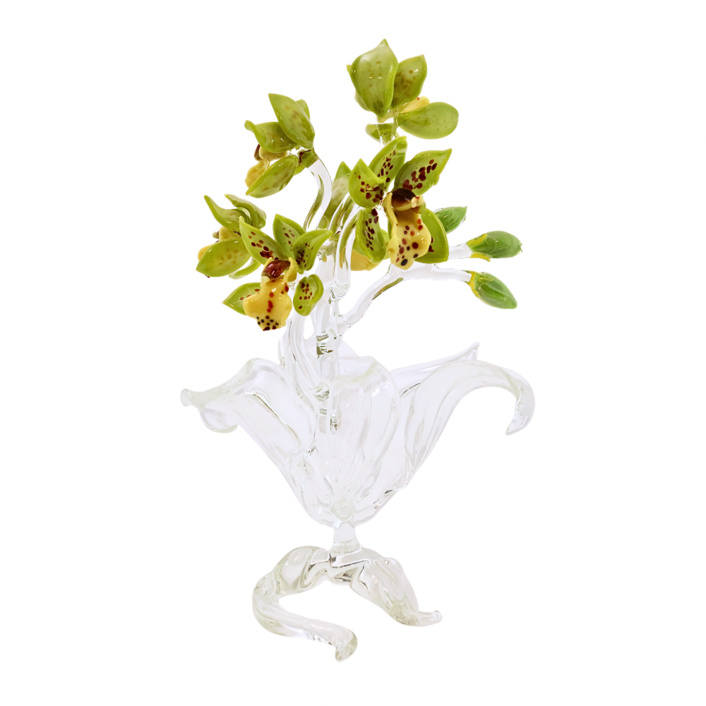 Cymbidium