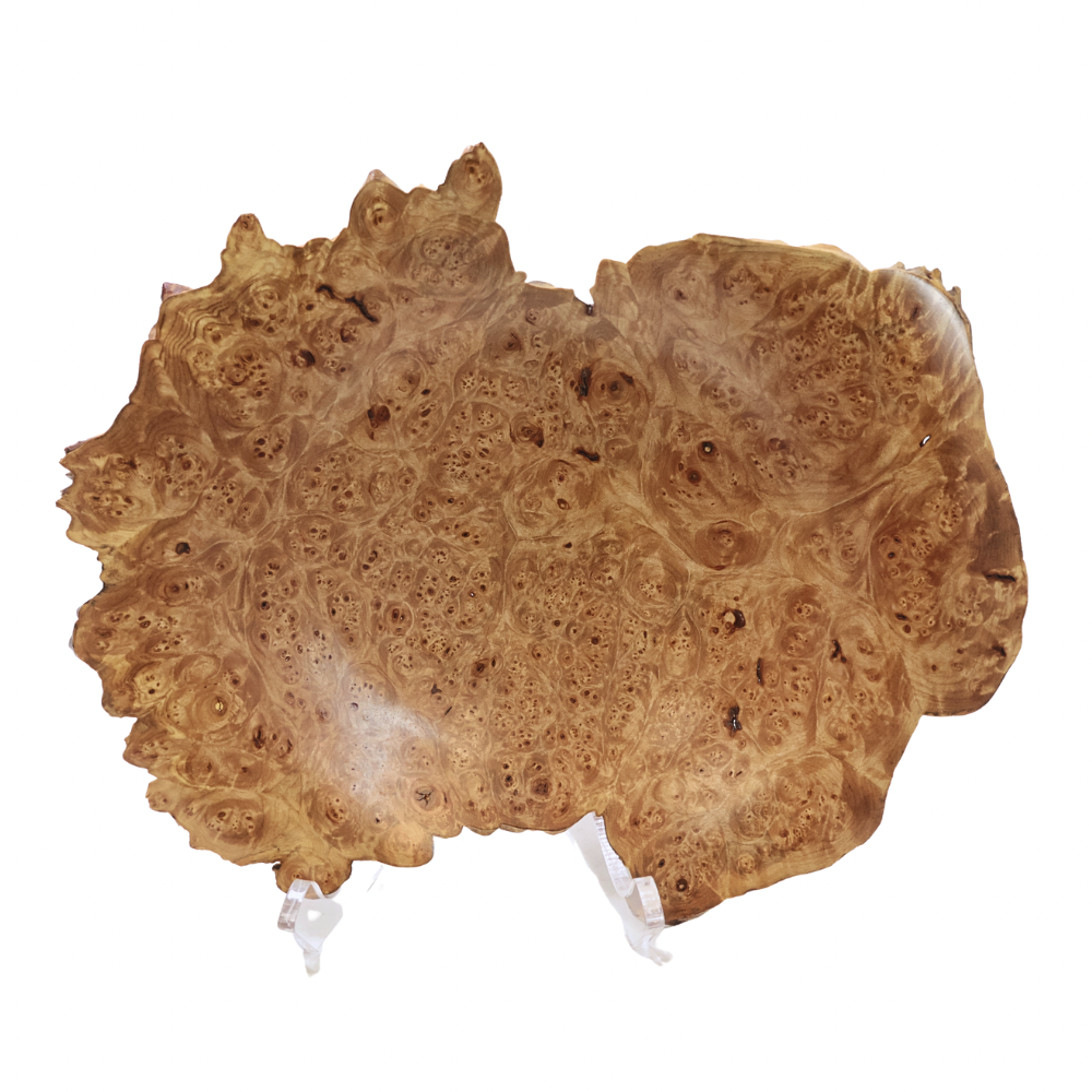 "Big Leaf Maple" Dish