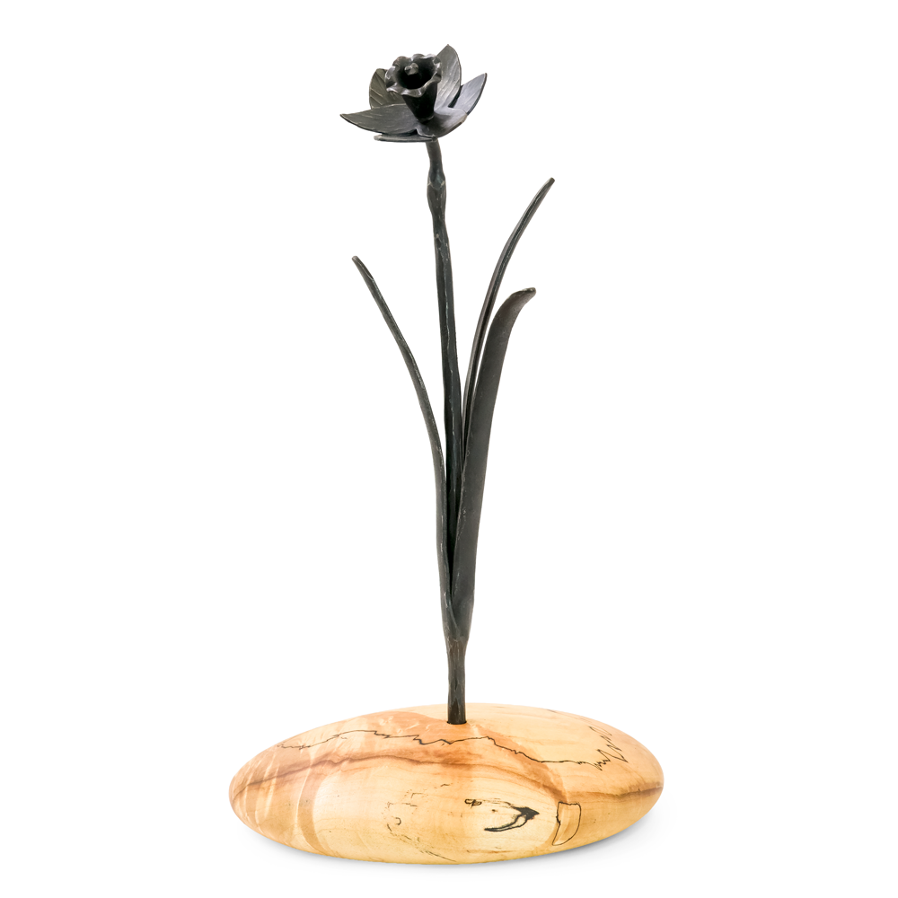Iron Daffodil on Spalted Maple