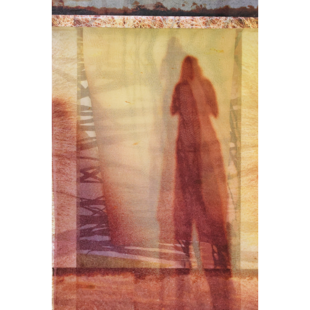 The Shadow Caster 21x14
