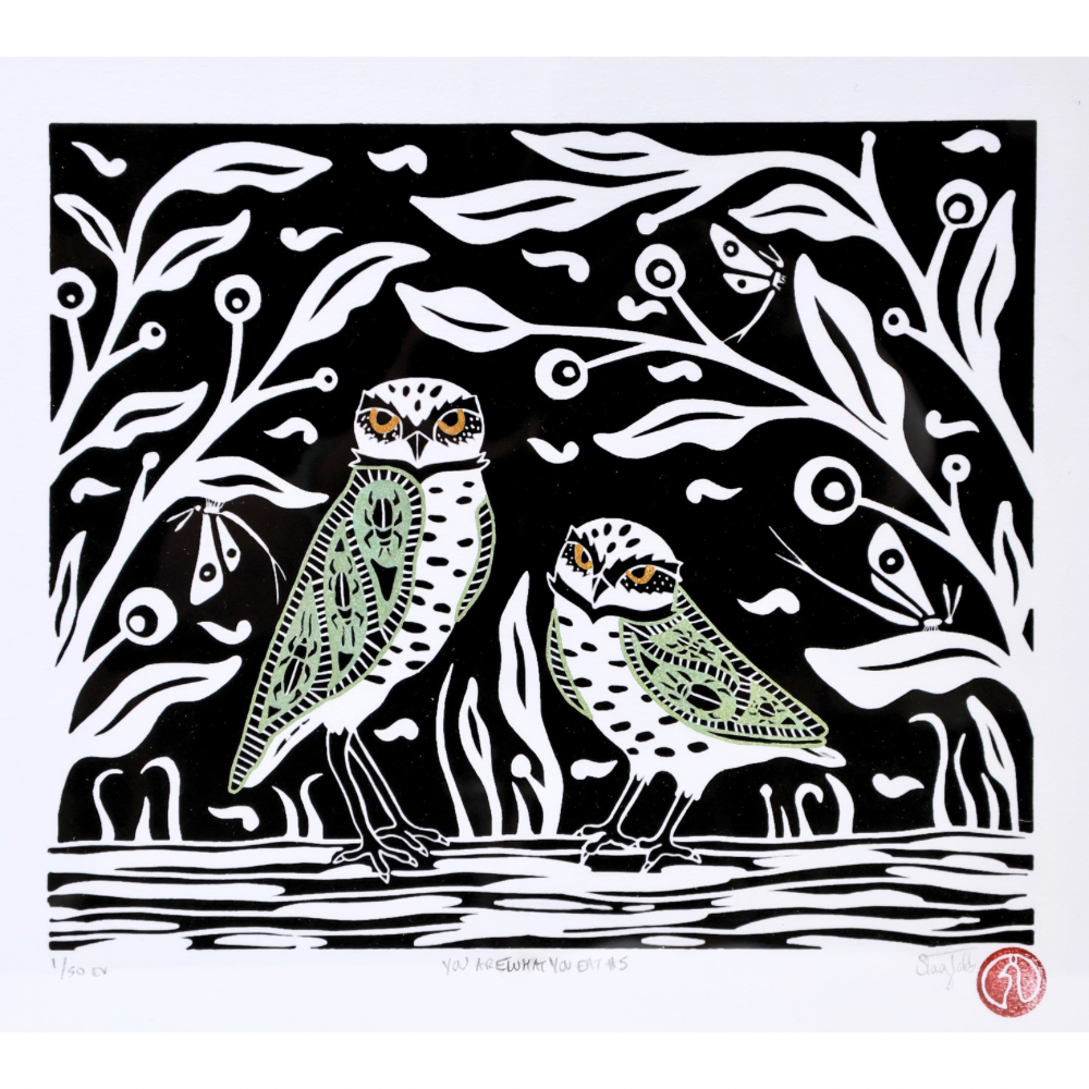 Owls (f)