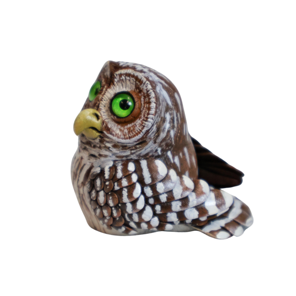 Barred Owl