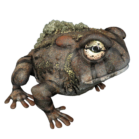 23 - Fools Quarry (Frog)