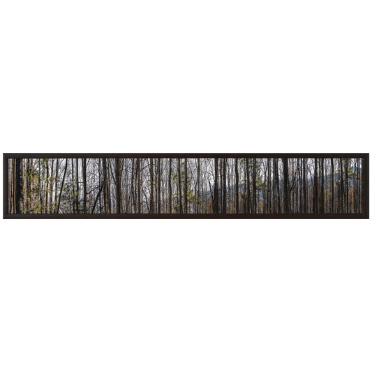 Blue Ridge Scape