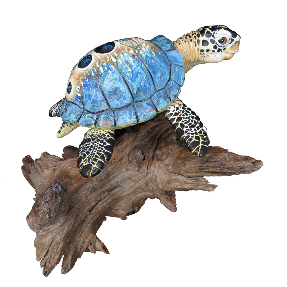 21 - Blue Lantern (Turtle)