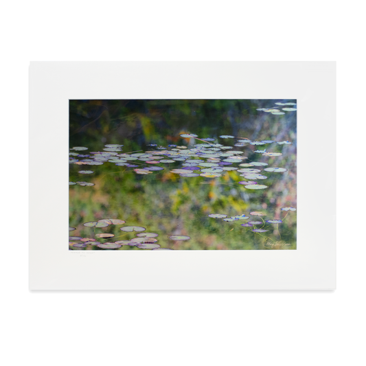 "Homage to Monet"