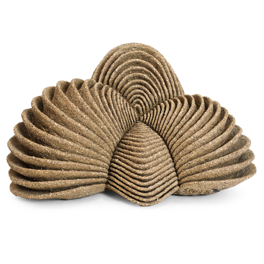 Quartet (Slinky x2): Series YK