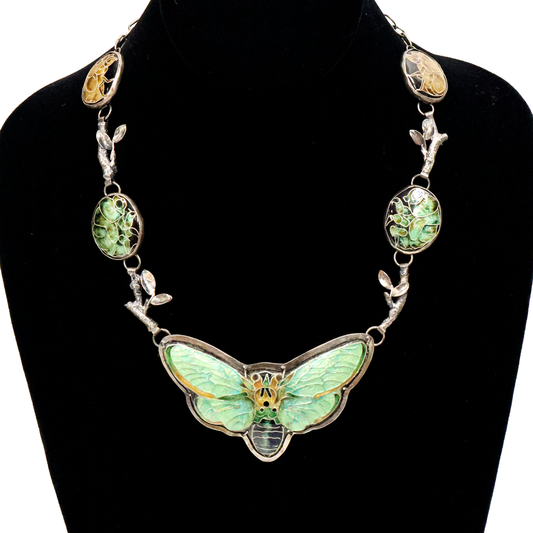 Cecily Cicada