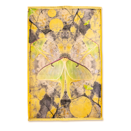 From the Book of Motthew