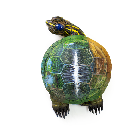 28 - New World (Turtle)