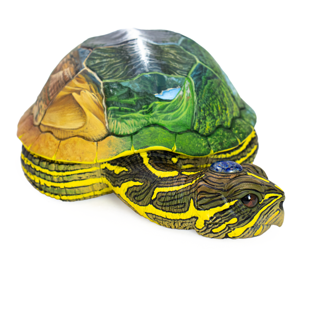 28 - New World (Turtle)