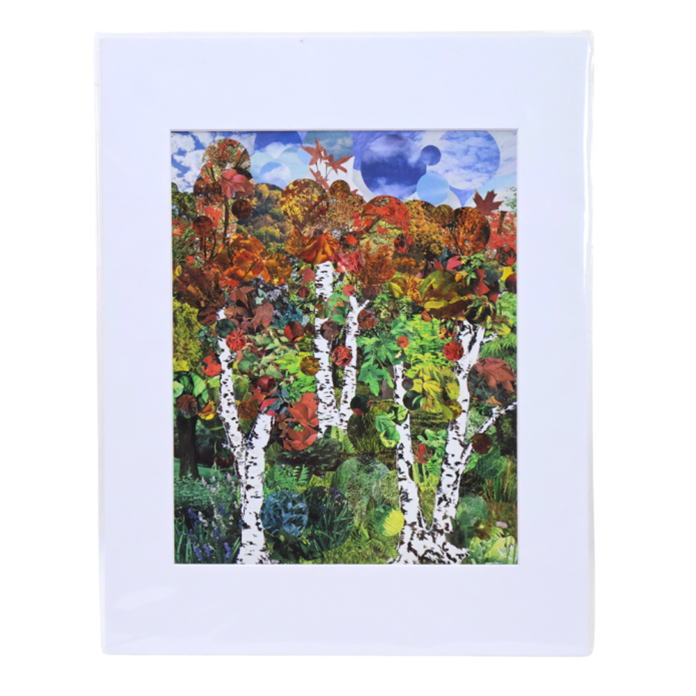 5x7 Matted Prints