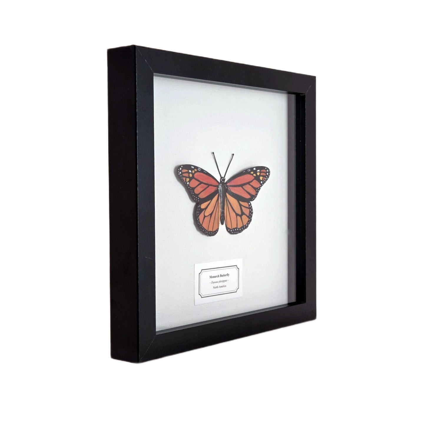 Monarch