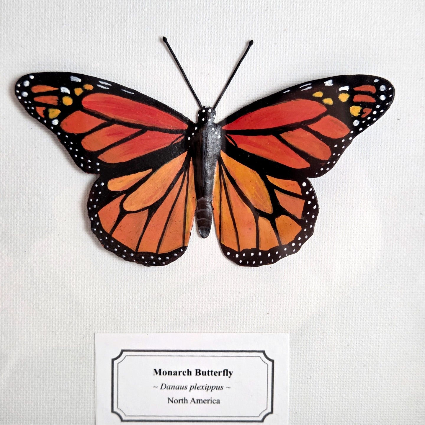 Monarch