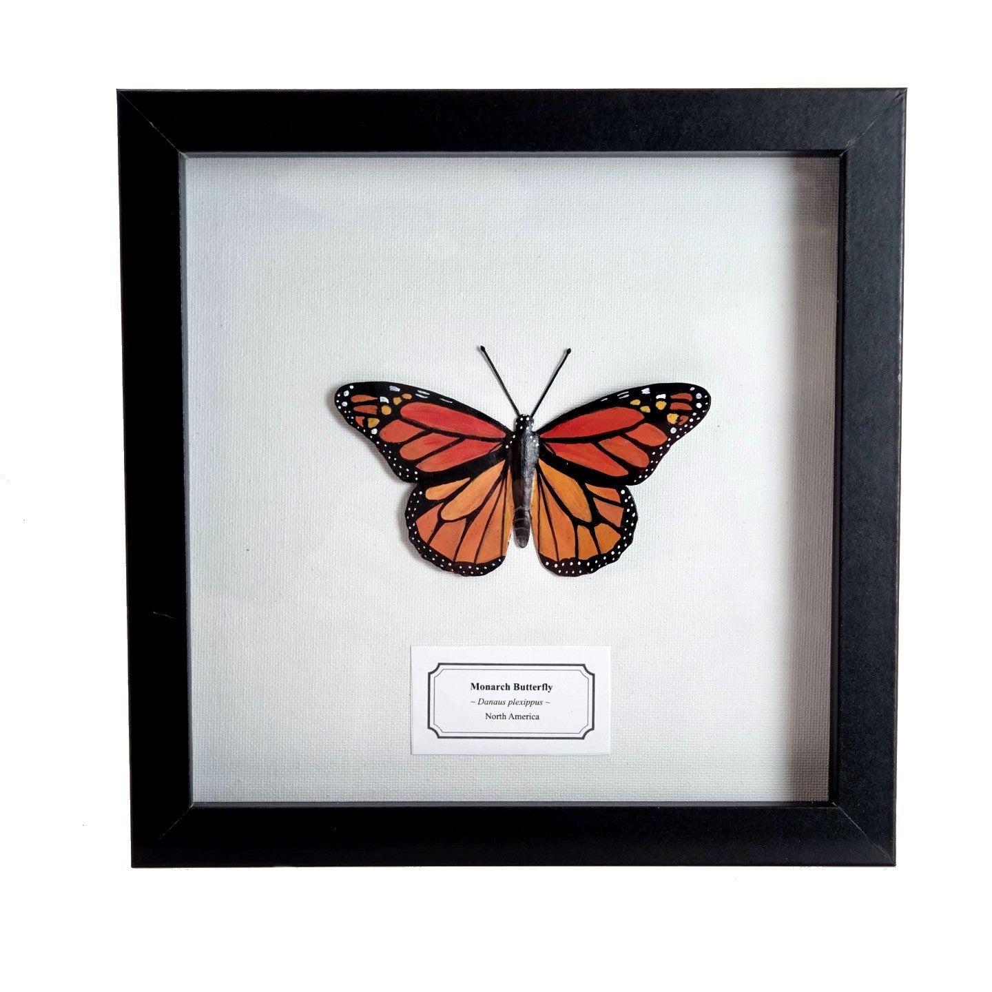 Monarch