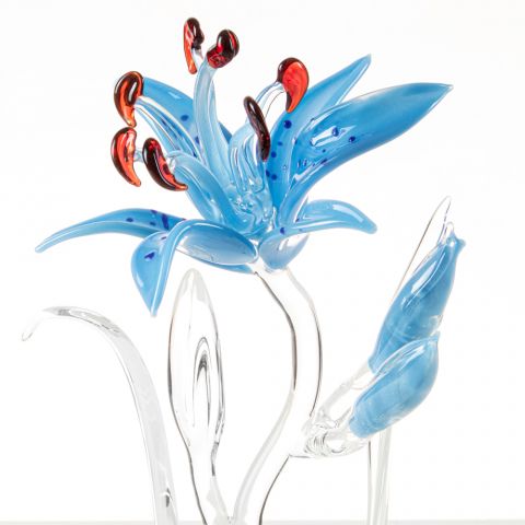 Blue Lily